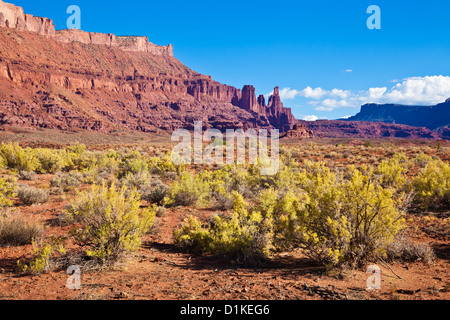 Arches National Park utah USA Fisher Towers and sagebrush foreground, near Moab, Utah, United States of America, North America Stock Photo