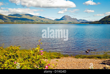 SUMMERTIME AND LOCH MAREE SHORELINE WITH SLIOCH MOUNTAIN IN THE DISTANCE.NORTH WEST HIGHLANDS OF SCOTLAND. Stock Photo