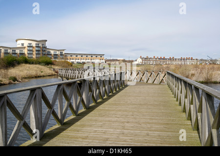 Wooden walkway at Cardiff Bay wetlands reserve, Wales UK, Biodiversity hotspot Stock Photo