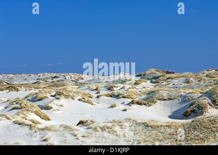 Sand dunes with marram grass at Amrum, North Frisian Islands in the Wadden Sea on the German North Sea coast, Germany Stock Photo