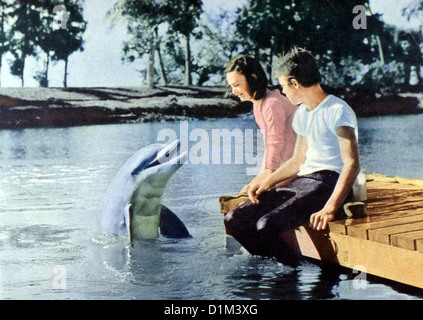Flippers Neue Abenteuer Flippers Neue Abenteuer
