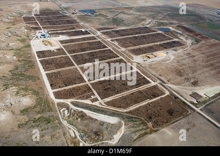 aerial photograph nebraska feedlot cattle alamy similar