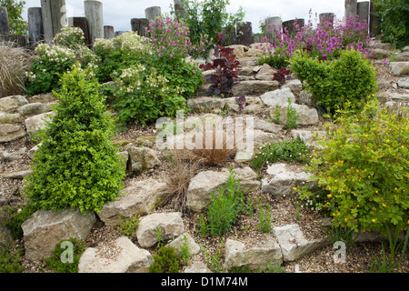 Rockery borders. Stock Photo