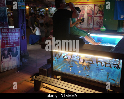 tourists dipping their feet into a fish tank for treatment in Cambodia Stock Photo