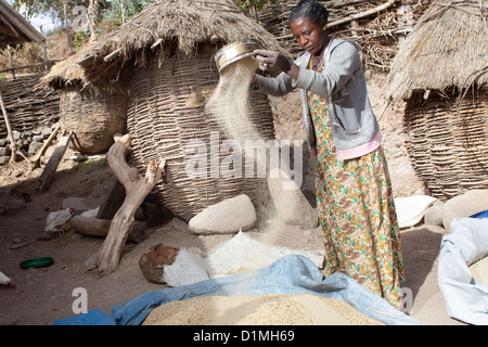 A woman winnows tef grain outside her home in Ankober, Ethiopia. Stock Photo