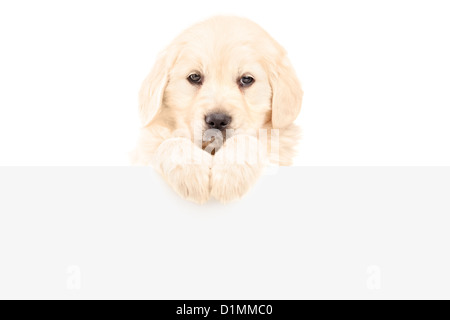 retriever fence panels