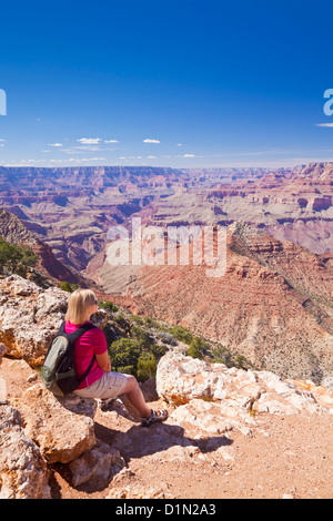 South Rim of the Grand Canyon near the Desert View Watchtower, Grand Canyon National Park, Arizona, USA United States of America Stock Photo