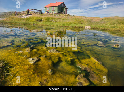 Geothermal hot springs at Hveravellir on the Kjölur Highland route in Iceland Stock Photo