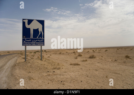 Attention Camels Crossing road sign in the Sahara desert in Tunisia Stock Photo