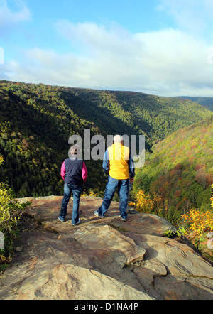 Blackwater Falls State Park, West Virginia, America, USA Stock Photo