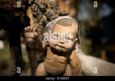 A doll hangs on a tree on the Island of the Dolls in Xochimilco, southern Mexico City Stock Photo
