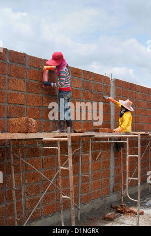Workers are Constructing large wall with laterite brick. Stock Photo