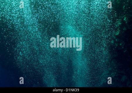 The picture shows underwater bubbles which raise from the depth of blue sea Stock Photo