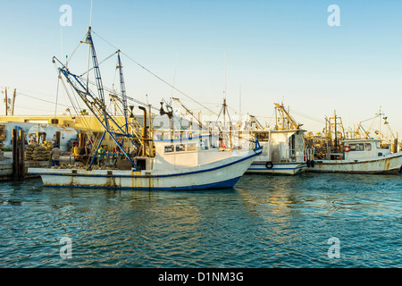 Commercial fishing vessel clearing a load of oyster harvest at the marina in Rockport-Fulton, Texas, USA Stock Photo