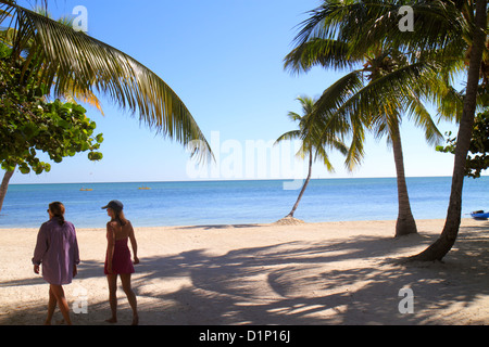 Florida Florida Keys,US highway Route 1 One,Overseas Highway,Upper Matecombe Key,Islamorada,The Moorings Village and & Spa,resort,grounds,Atlantic Oce Stock Photo