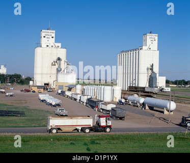 TRUCKS WAITING TO DUMP GRAIN AT ELEVATORS / KANSAS Stock Photo