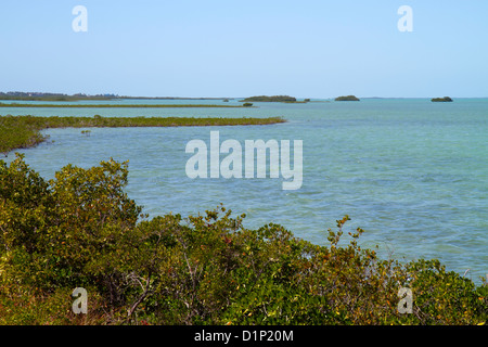 Florida Key West Florida,Keys US highway Route 1 One,Overseas Highway,Saddlebunch Keys,Gulf of Mexico Coast,Florida Bay water,mangrove,water,islands,v Stock Photo