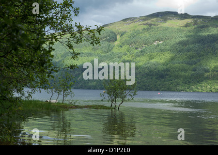 Loch Lomond viewed from Tarbet, Scotland Stock Photo