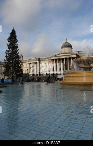 Christmas tree in Trafalgar Square London UK December 2012 Stock Photo