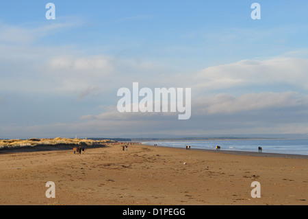West sands in St Andrews, Fife Stock Photo