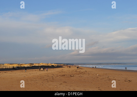 West sands at St Andrews Stock Photo