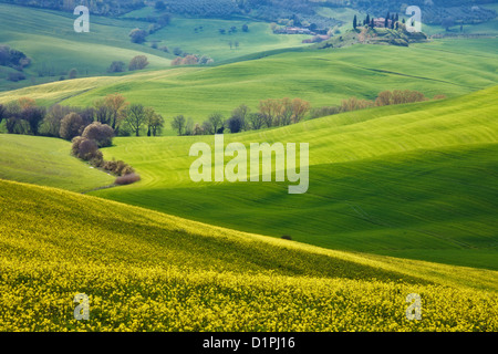 View towards 'The Belvedere' (Tuscan farmhouse) and the Val d'Orcia, near San Quirico d'Orcia, Val d'Orcia,Tuscany, Italy Stock Photo