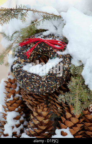 Christmas wreath made from bird seed and suet. Stock Photo