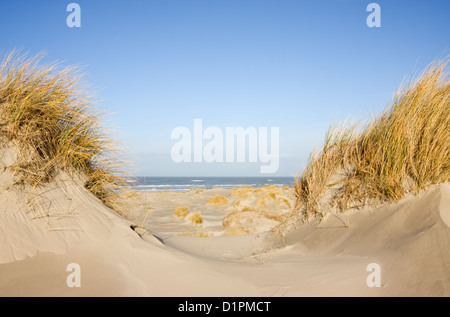 View between two dunes, grown with Beach Grass, on a vast beach and the sea. Stock Photo