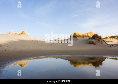 Dunes with Beech grass and a blue sky reflected in a puddle with fresh water. Stock Photo