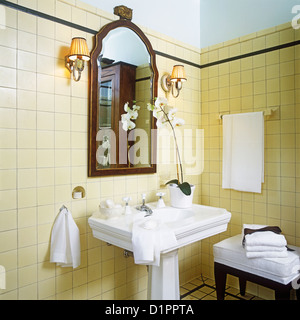 BATHROOMS 1920s style Detail white stately pedestal sink in center and mahogany framed mirror White orchids sitting on right Stock Photo