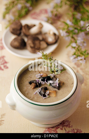Gray agaric soup (Mushrooms soup) Stock Photo