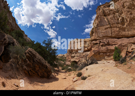 Hickman Bridge Trail Capitol Reef National Park, Utah, USA Stock Photo