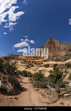 Hickman Bridge Trail, Navajo Dome, Capitol Reef National Park, Utah, USA Stock Photo