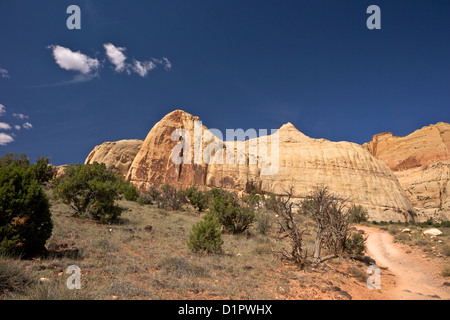 Hickman Bridge Trail, Navajo Dome, Capitol Reef National Park, Utah, USA Stock Photo