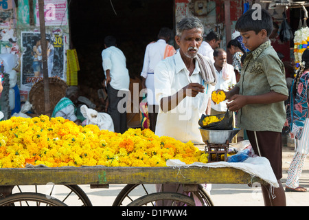 Indian boy selling Marigold flowers from a a cart for hindu puja offerings. Andhra Pradesh, India Stock Photo