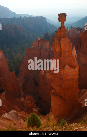 Thor's Hammer in early morning from Sunset Point, Bryce Canyon National Park, Utah, USA Stock Photo