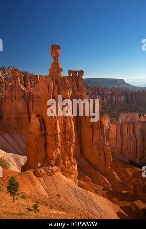 Thor's Hammer in early morning from Sunset Point, Bryce Canyon National Park, Utah, USA Stock Photo