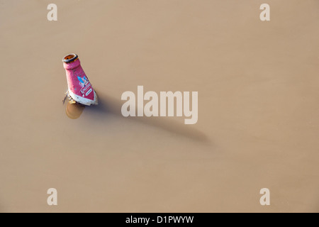Old Indian kingfisher beer bottle floating in an Indian river. Andhra Pradesh, India Stock Photo