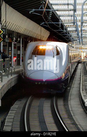 The Tohoku Shinkansen E2 Series High-speed Rail Line At Tokyo Station ...