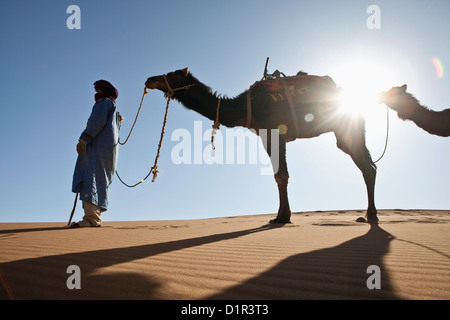 Morocco, M'Hamid, Erg Chigaga sand dunes. Sahara desert. Camel driver and camel caravan.