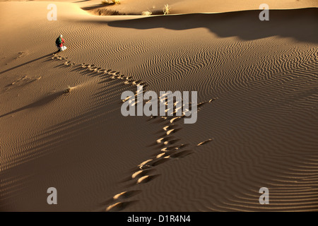 Morocco, M'Hamid, Erg Chigaga sand dunes. Sahara desert. Detail ripple-marks. Tourist. Stock Photo