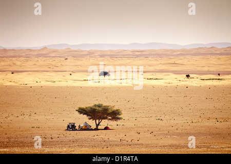 Morocco, M'Hamid, Erg Chigaga sand dunes. Sahara desert. Tourists relaxing in shadow of acacia tree. Stock Photo