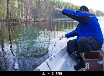 Man throwing fish-trap , made of wires , back to lake , Finland Stock Photo