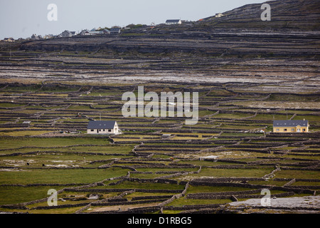 Irish stone fences and fields climb hill in layered pattern dividing fields Stock Photo