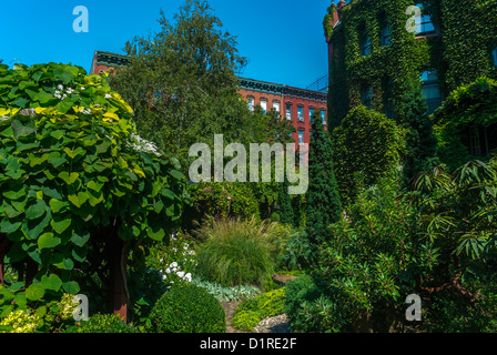New York CIty, NY, USA, East Village, E. 6th St., Urban Botanical Community Garden Scenic, Summer, Local neighbourhoods, biodiversity urbanisation Stock Photo
