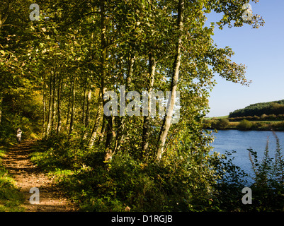 Paxton House estate, Berwickshire, stately home next to the River Tweed - riverside walk in October Stock Photo