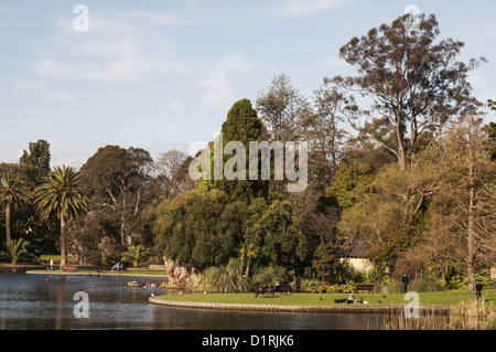 Late afternoon by the lake in Melbourne's century-old Royal Botanic Gardens Stock Photo