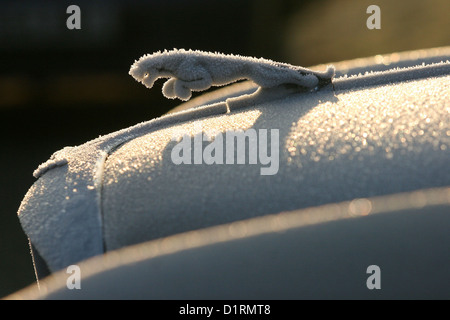 A Jaguar Cars leaping cat bonnet Mascot frosted over in freezing temperatures 1960s Stock Photo
