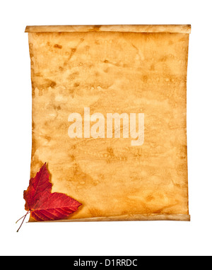 Old paper with autumn leaves on white background isolated Stock Photo