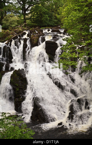 Swallow Falls, Betws-y-Coed, Gwynedd, North Wales Stock Photo